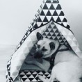 /album/wigwam-voor-kat-of-hond/img-20180205-105806-592-jpg/