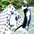 /album/wigwam-voor-kat-of-hond/picsart-02-07-08-51-11-jpg/