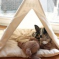 /album/wigwam-voor-kat-of-hond/il-570xn-1351417020-h09u-jpg/