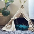 /album/wigwam-voor-kat-of-hond/il-570xn-1397532804-s4b8-jpg/